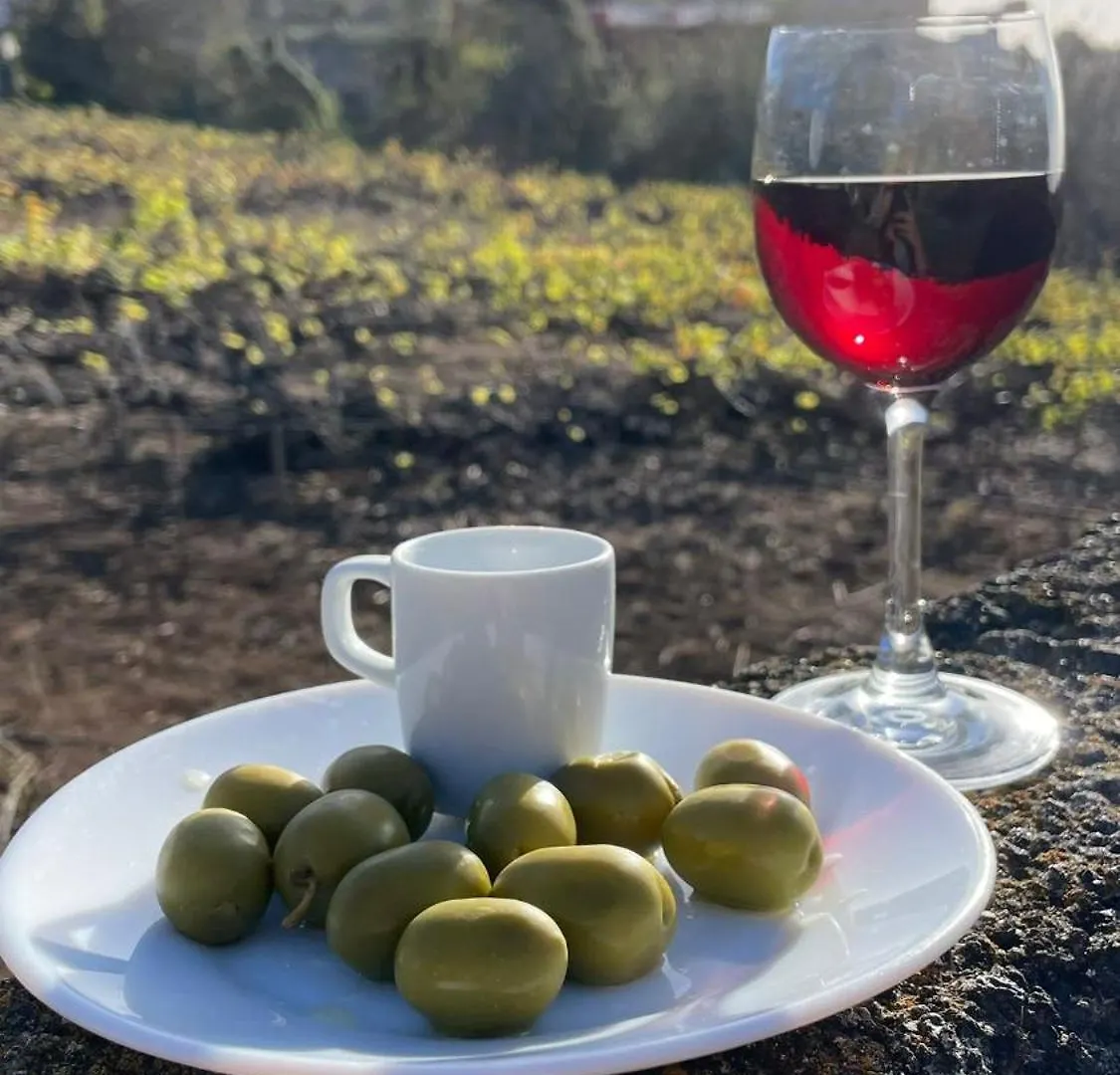 Holiday home Finca Mamposo Tacoronte Spain