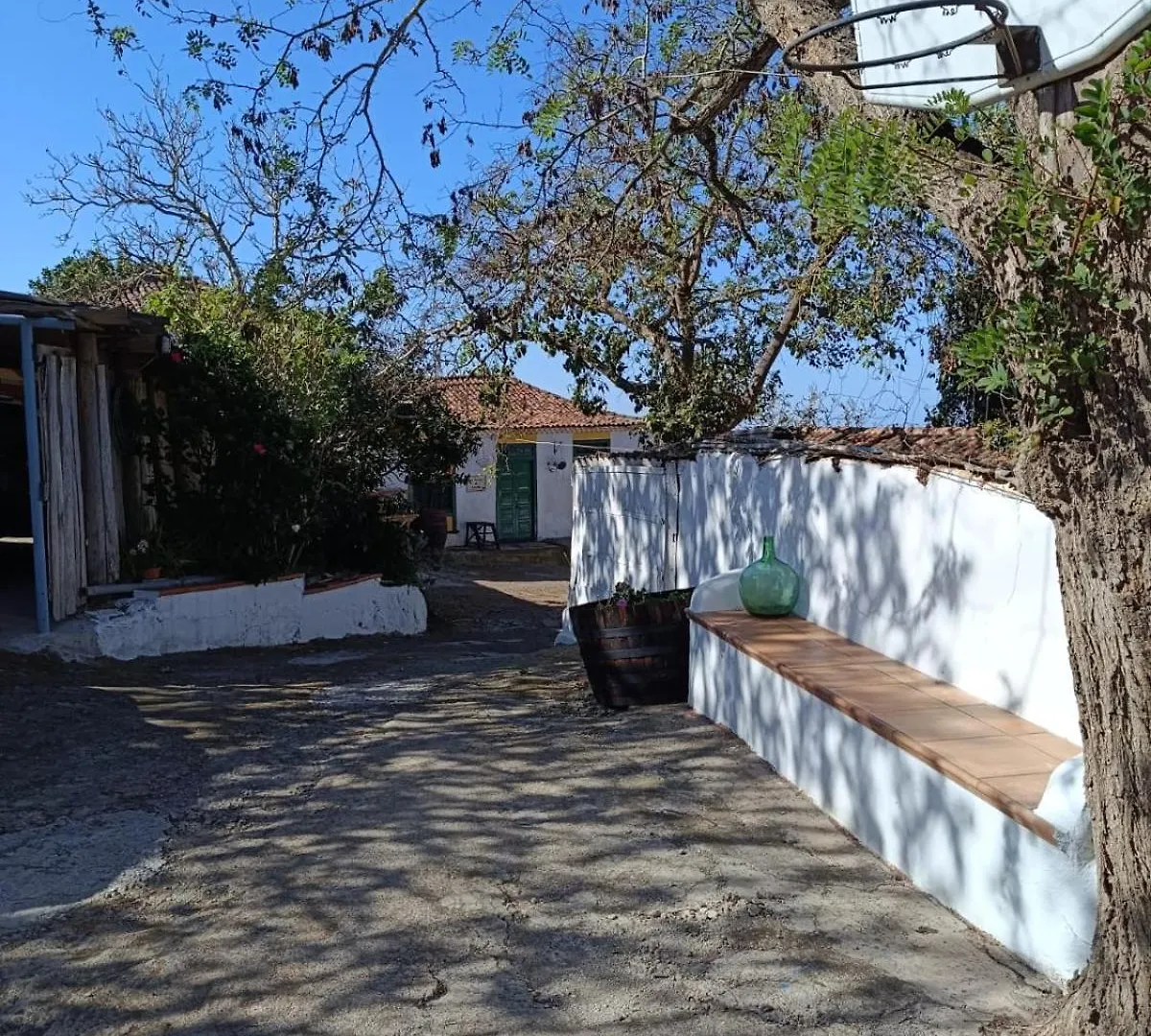 Finca Mamposo Tacoronte