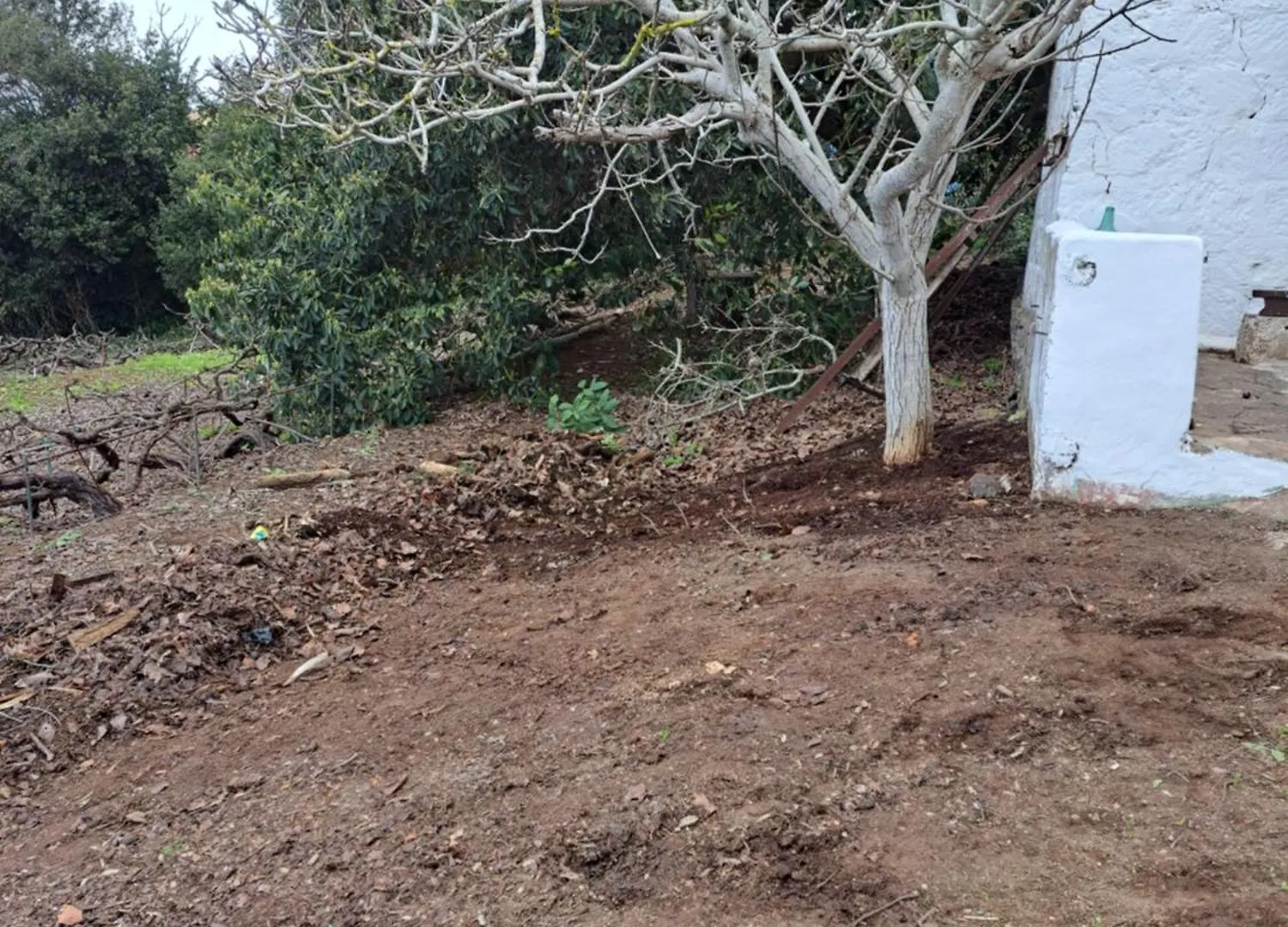 Finca Mamposo Tacoronte Spain