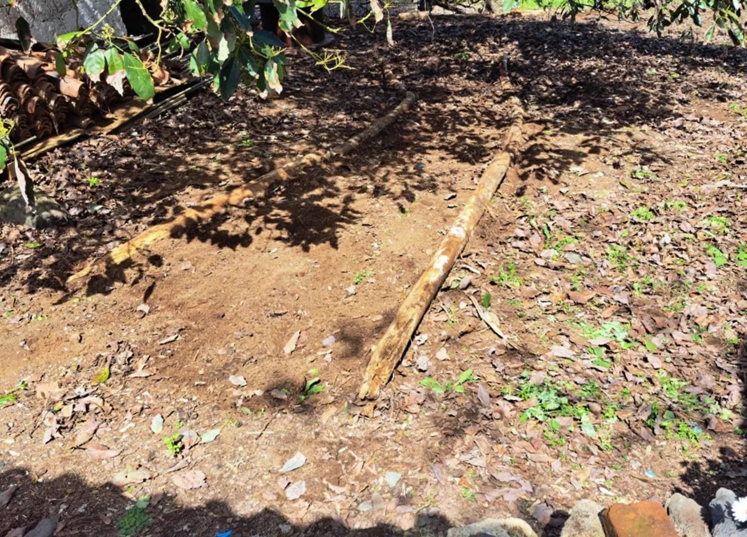 Finca Mamposo Tacoronte Dom wakacyjny